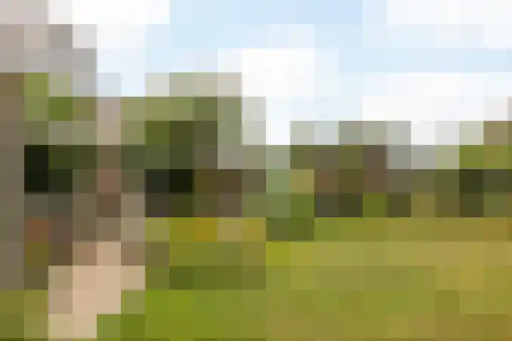Concordiastraat 56 Einighausen thumbnail 33