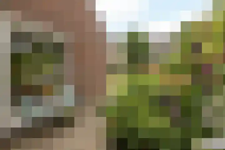 Concordiastraat 56 Einighausen thumbnail 34