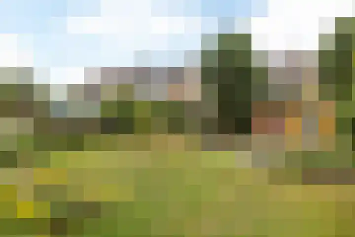 Concordiastraat 56 Einighausen thumbnail 35