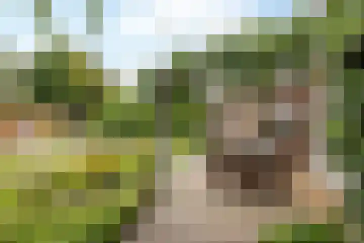 Concordiastraat 56 Einighausen thumbnail 36
