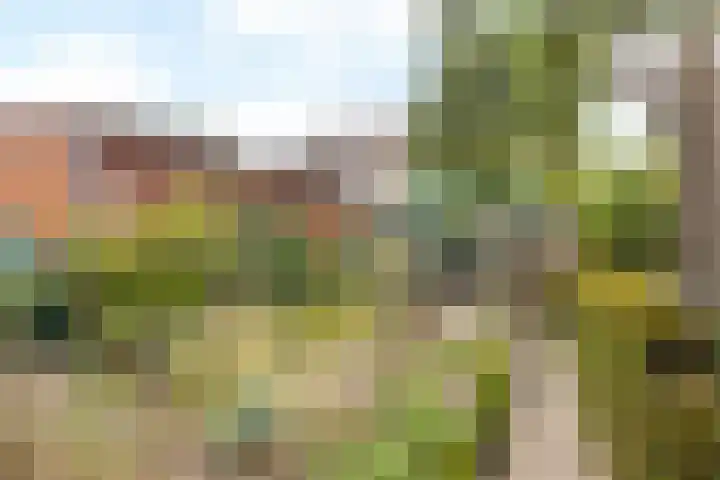Concordiastraat 56 Einighausen thumbnail 37