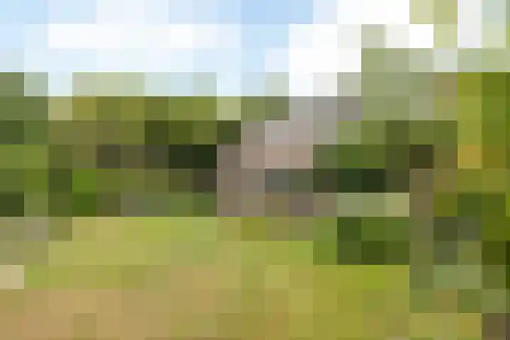 Concordiastraat 56 Einighausen thumbnail 38