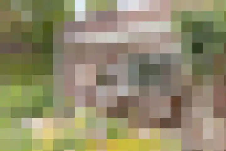 Concordiastraat 56 Einighausen thumbnail 39