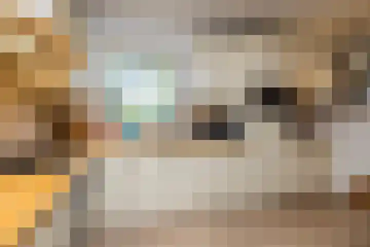 Concordiastraat 56 Einighausen thumbnail 4