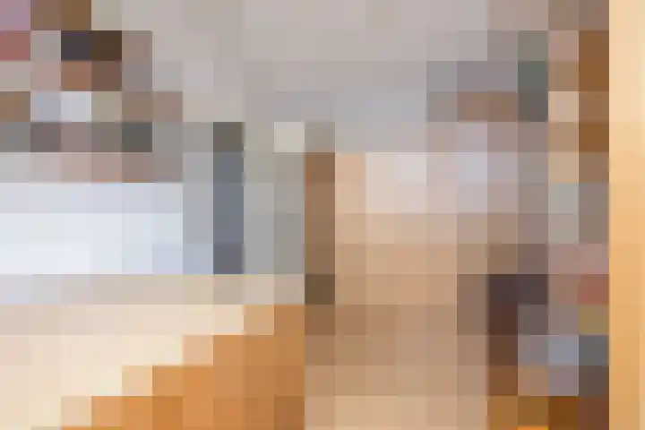 Concordiastraat 56 Einighausen thumbnail 43