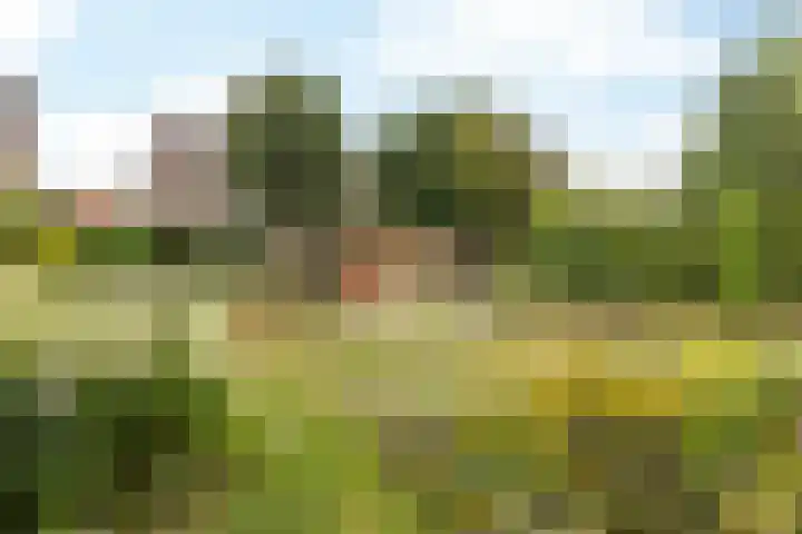 Concordiastraat 56 Einighausen thumbnail 6
