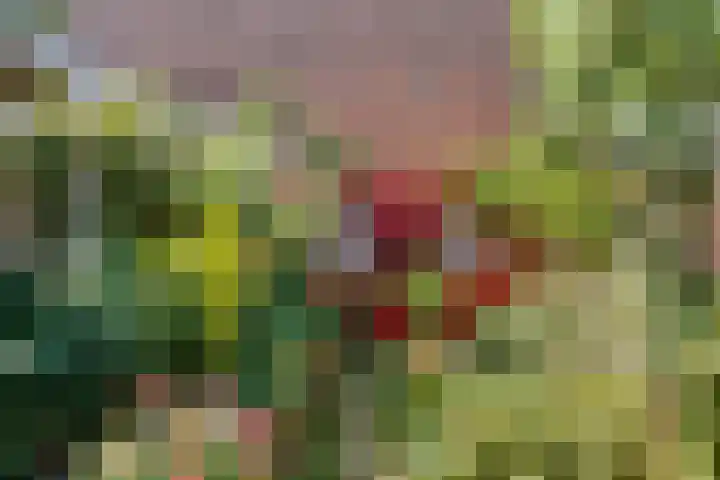 Concordiastraat 57 Utrecht thumbnail 11