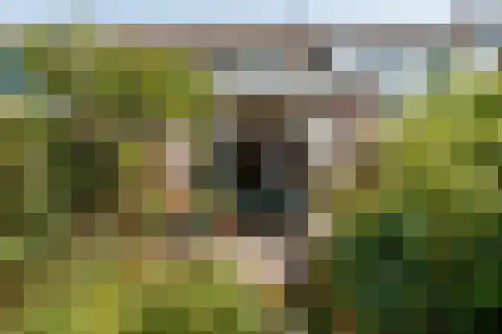 Concordiastraat 57 Utrecht thumbnail 12