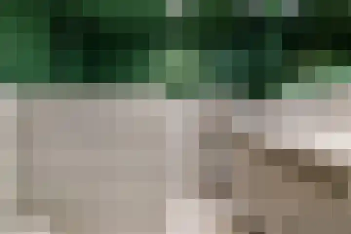 Concordiastraat 57 Utrecht thumbnail 15
