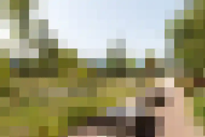 Concordiastraat 57 Utrecht thumbnail 23