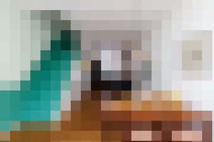 Concordiastraat 57 Utrecht thumbnail 4