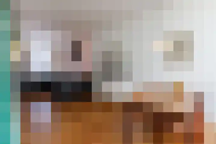 Concordiastraat 57 Utrecht thumbnail 5