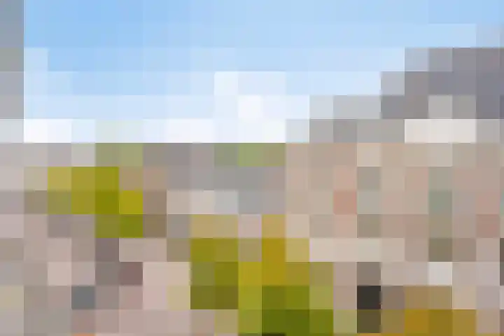 Concordiastraat 58 Breda thumbnail 5