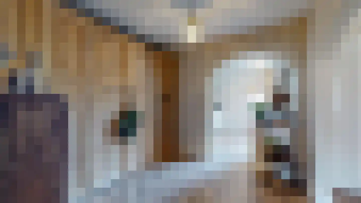 Concordiastraat 64 Maastricht thumbnail 8