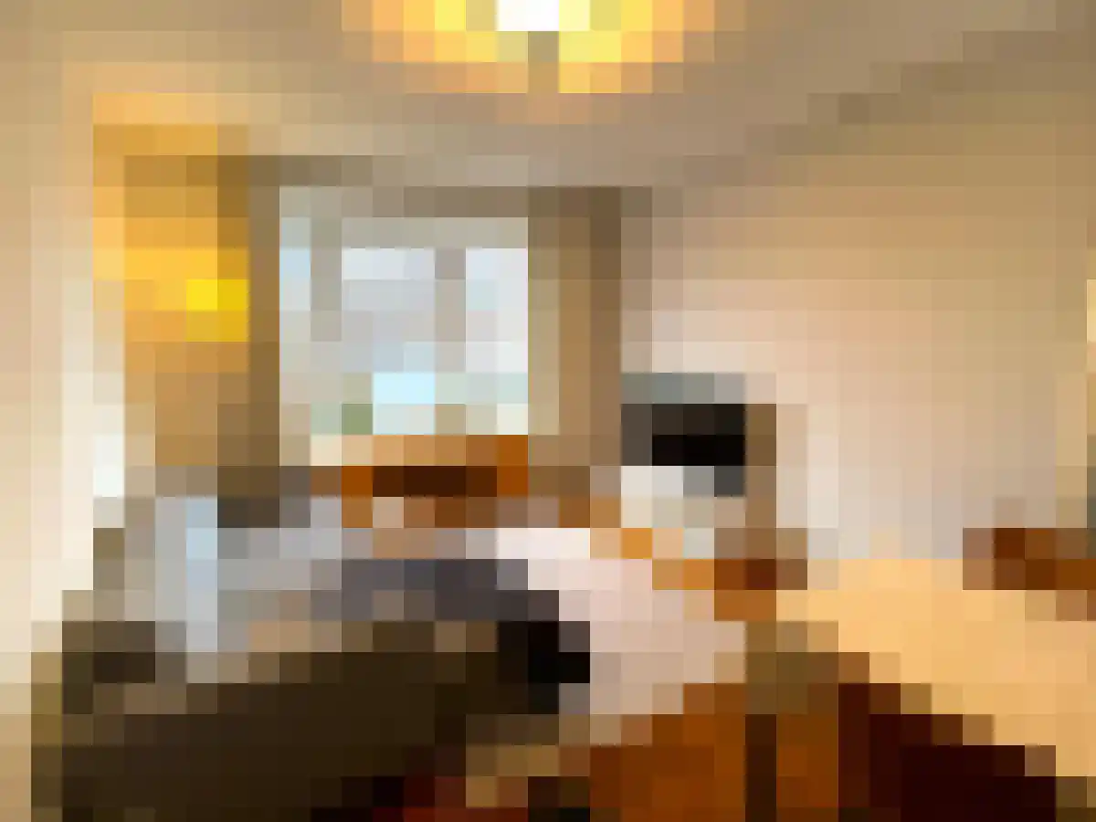 Concordiastraat 66 Maastricht thumbnail 6