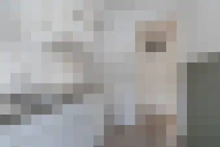 Concordiastraat 7 Sassenheim thumbnail 10