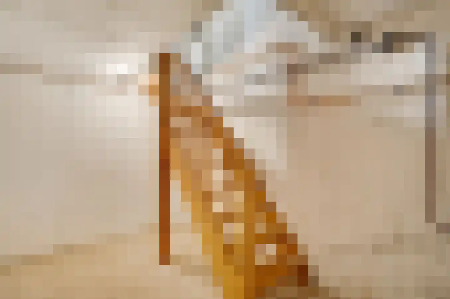 Concordiastraat 9 Ittervoort thumbnail 25