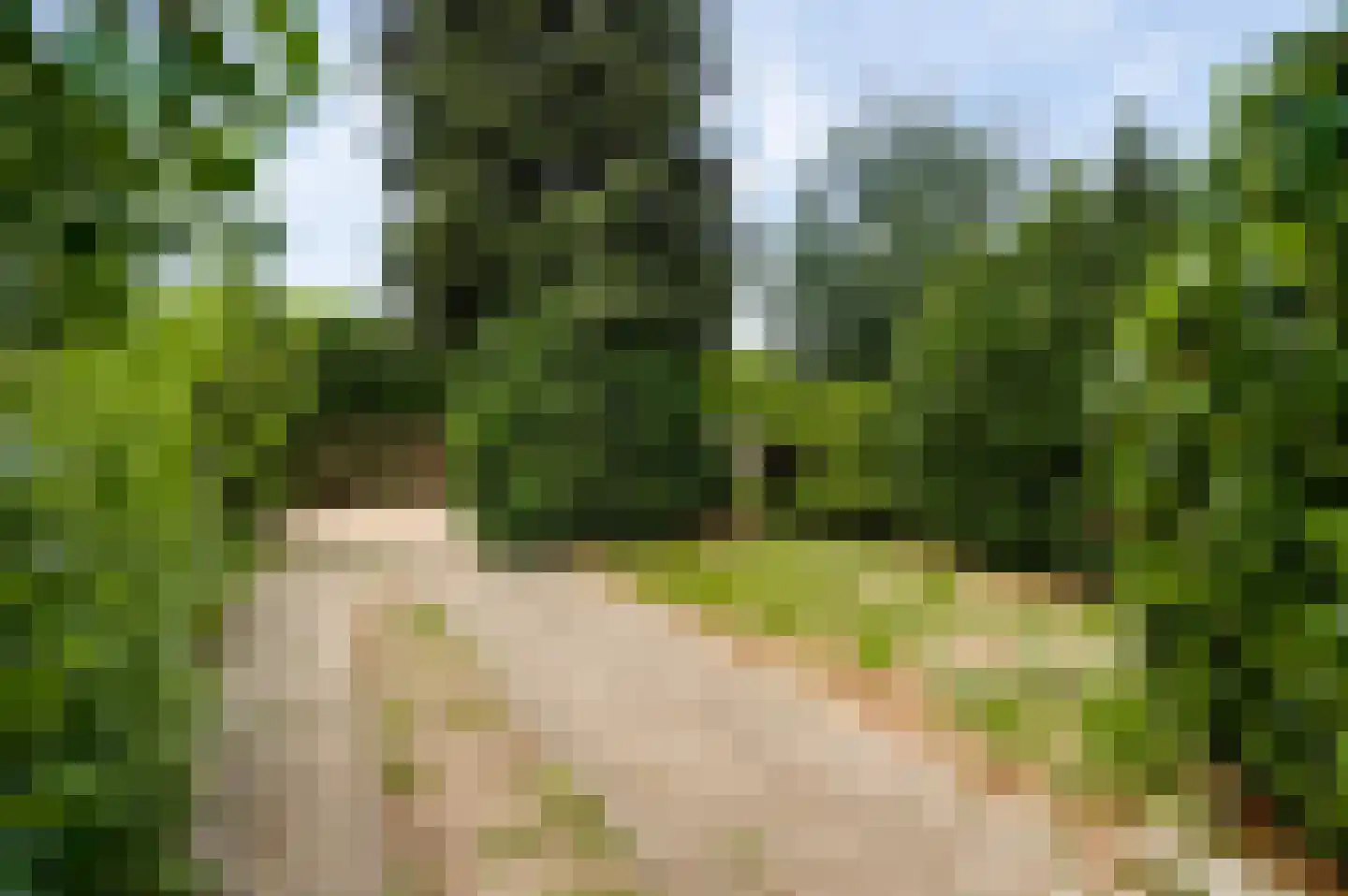 Concordiastraat 9 Ittervoort thumbnail 30