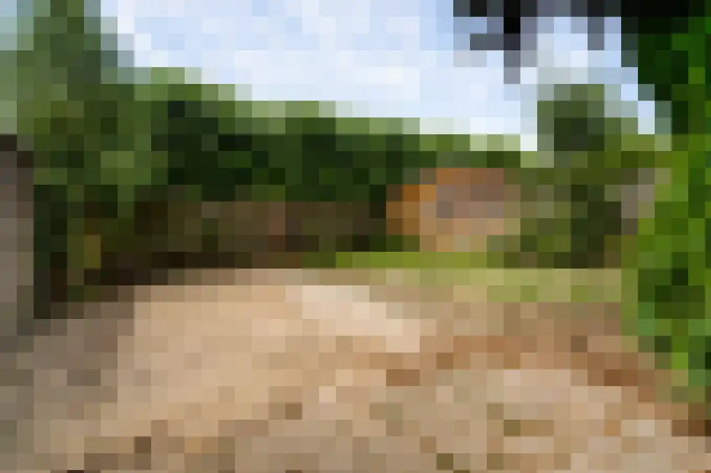 Concordiastraat 9 Ittervoort thumbnail 32