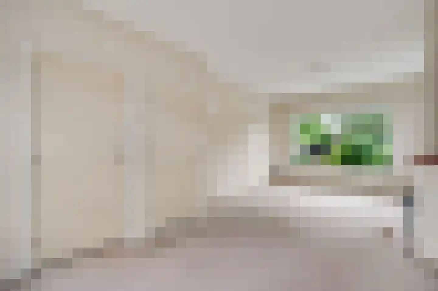 Concordiastraat 9 Ittervoort thumbnail 8
