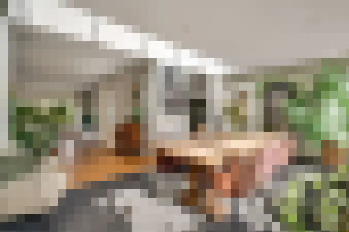 Concordiastraat 9 Margraten thumbnail 13