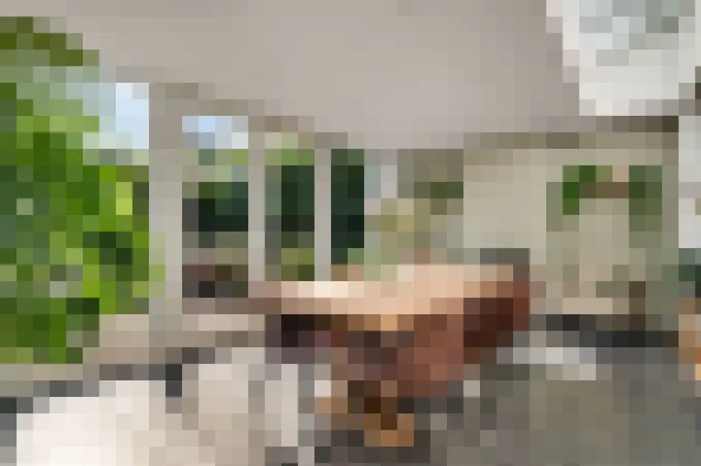 Concordiastraat 9 Margraten thumbnail 16