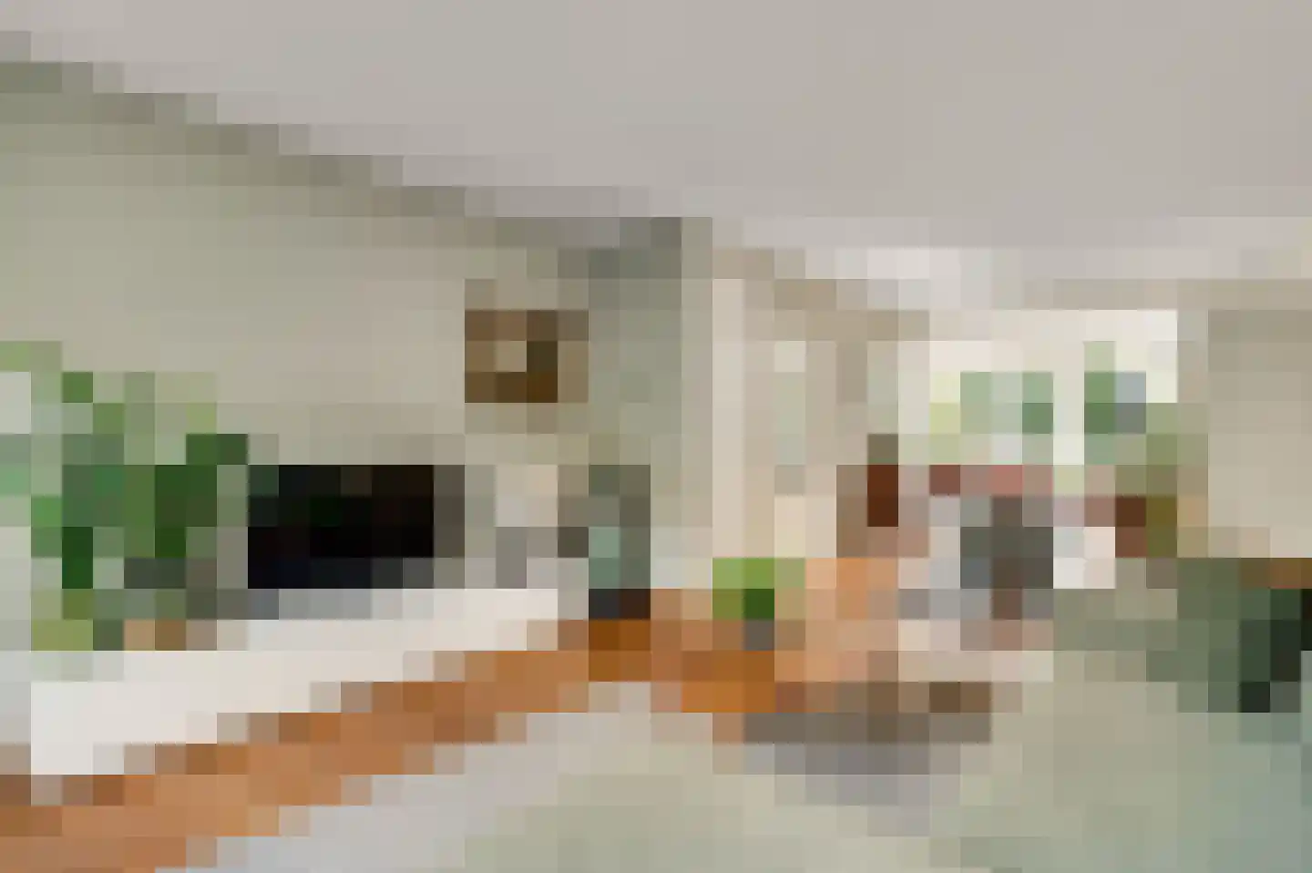 Concordiastraat 9 Margraten thumbnail 21