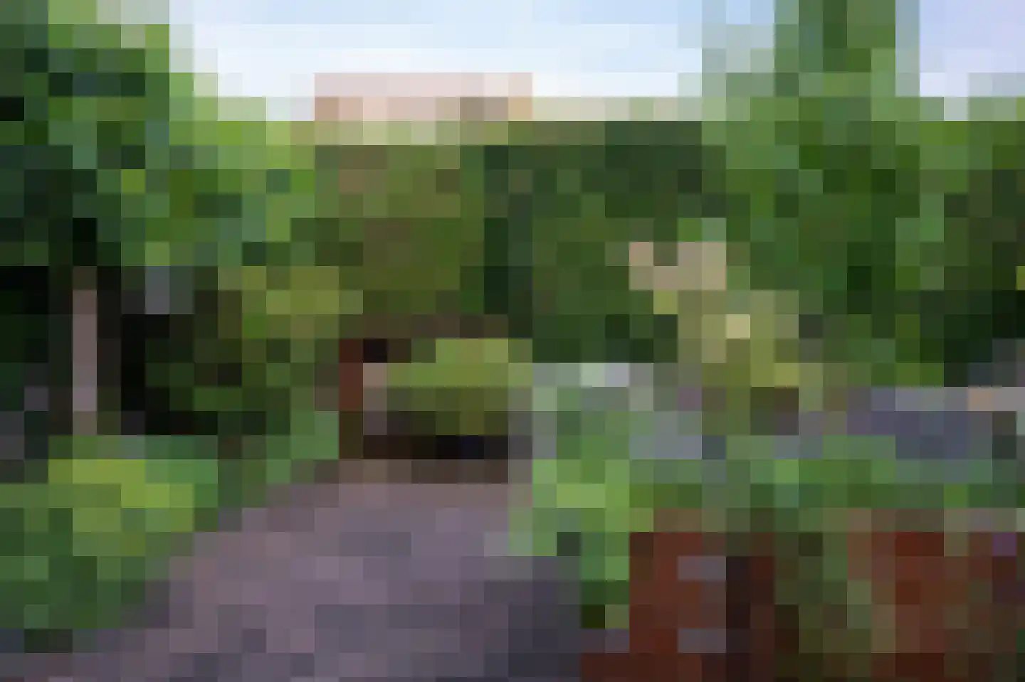Concordiastraat 9 Margraten thumbnail 39