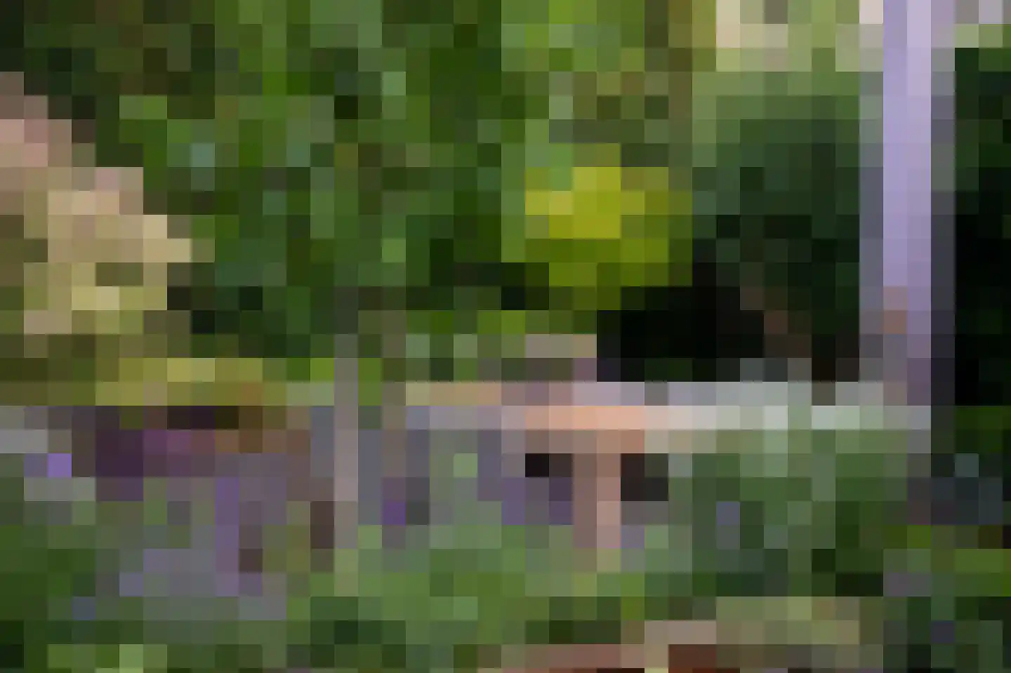 Concordiastraat 9 Margraten thumbnail 40