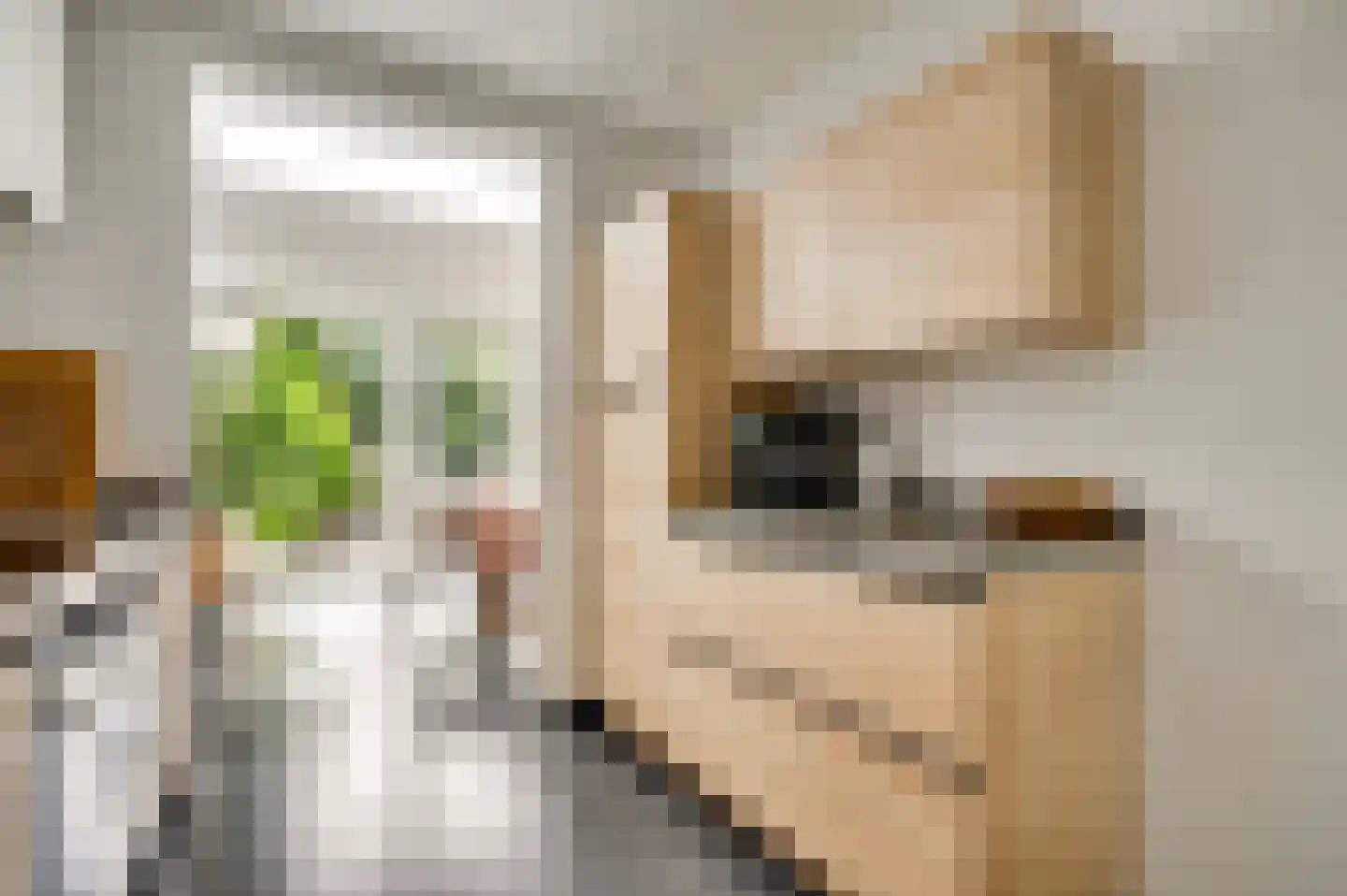 Concordiastraat 9 Margraten thumbnail 8