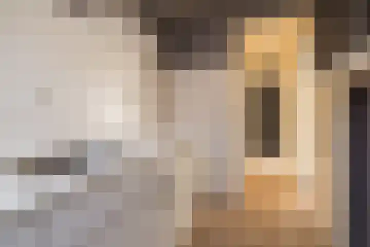 Concordiastraat 9 Sassenheim thumbnail 10