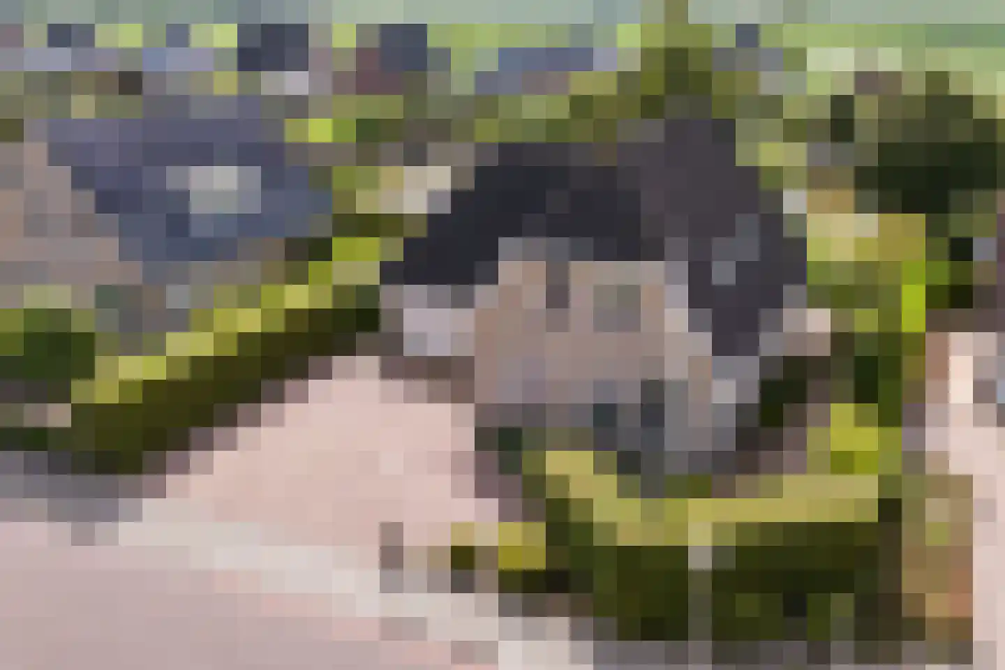 Concordiastrjitte 21 Burdaard thumbnail 10