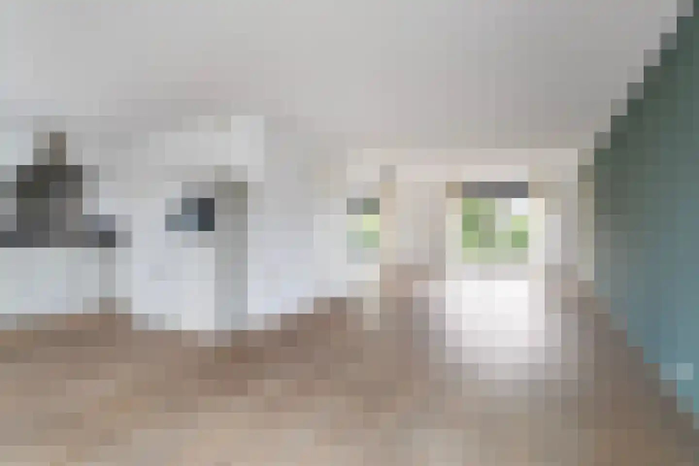 Concordiastrjitte 21 Burdaard thumbnail 27
