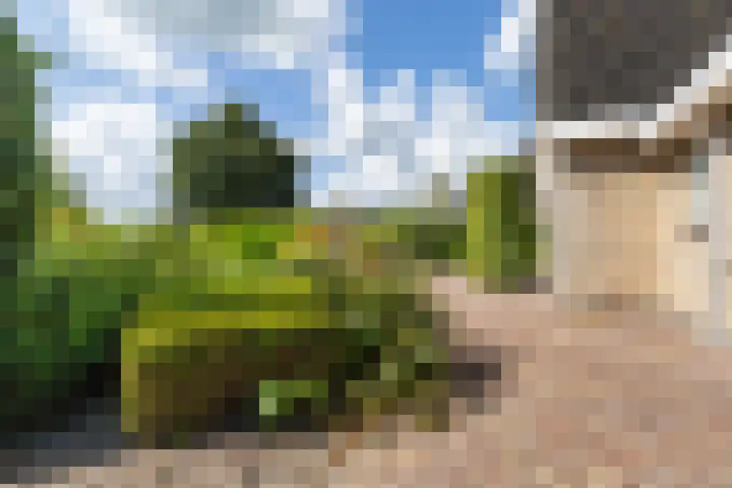 Concordiastrjitte 21 Burdaard thumbnail 34