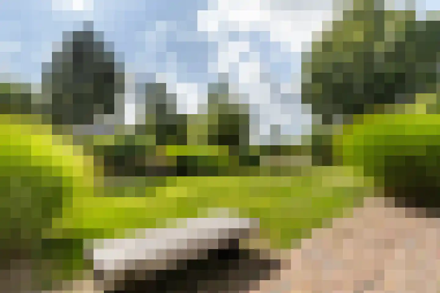 Concordiastrjitte 21 Burdaard thumbnail 36