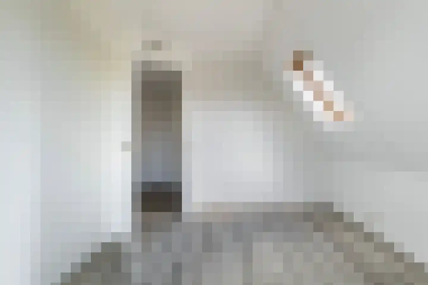 Concordiastrjitte 21 Burdaard thumbnail 50