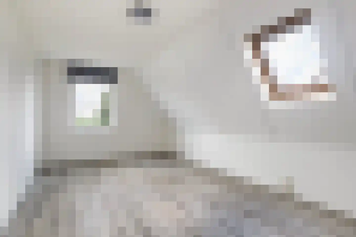 Concordiastrjitte 21 Burdaard thumbnail 51