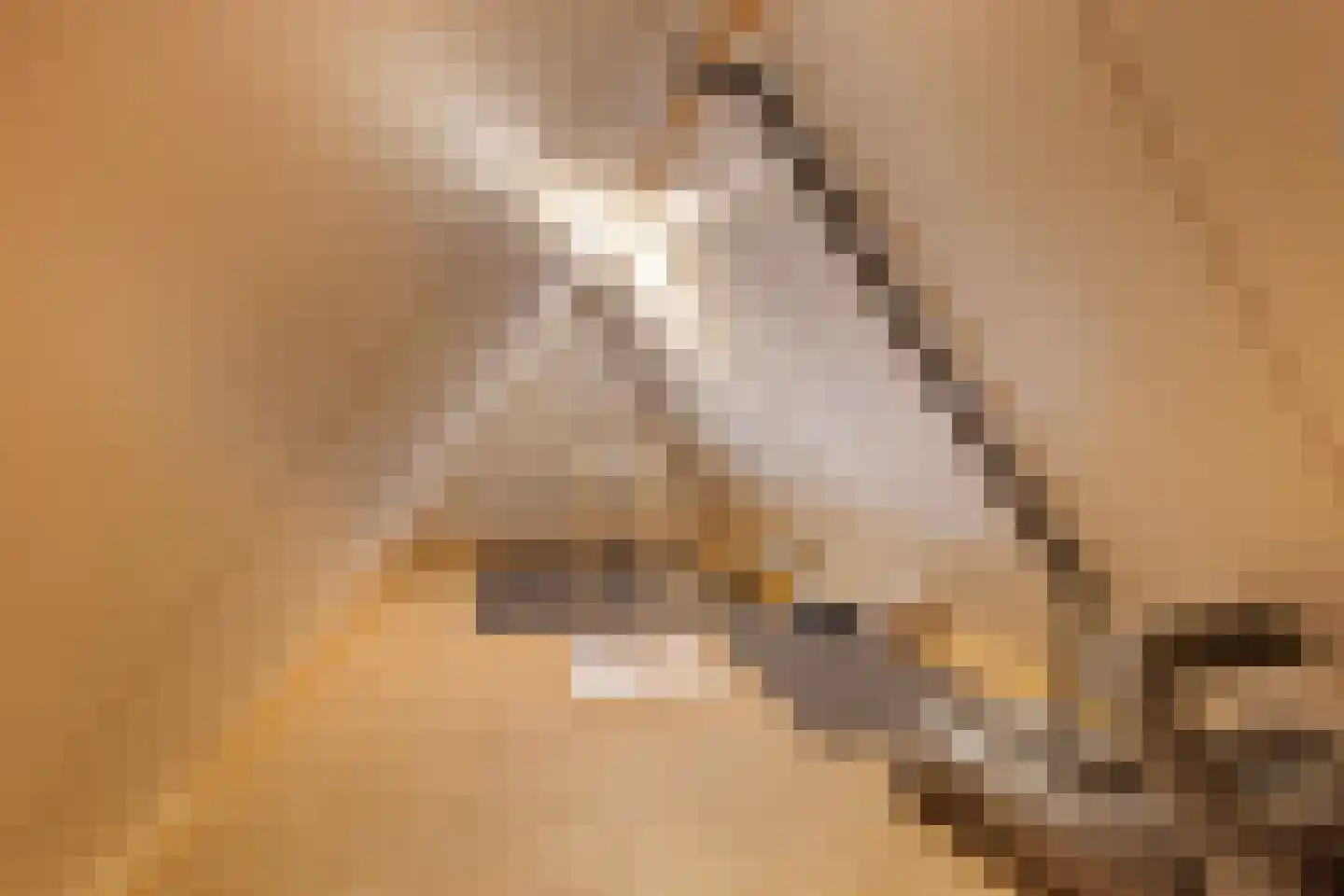Concordiastrjitte 21 Burdaard thumbnail 59