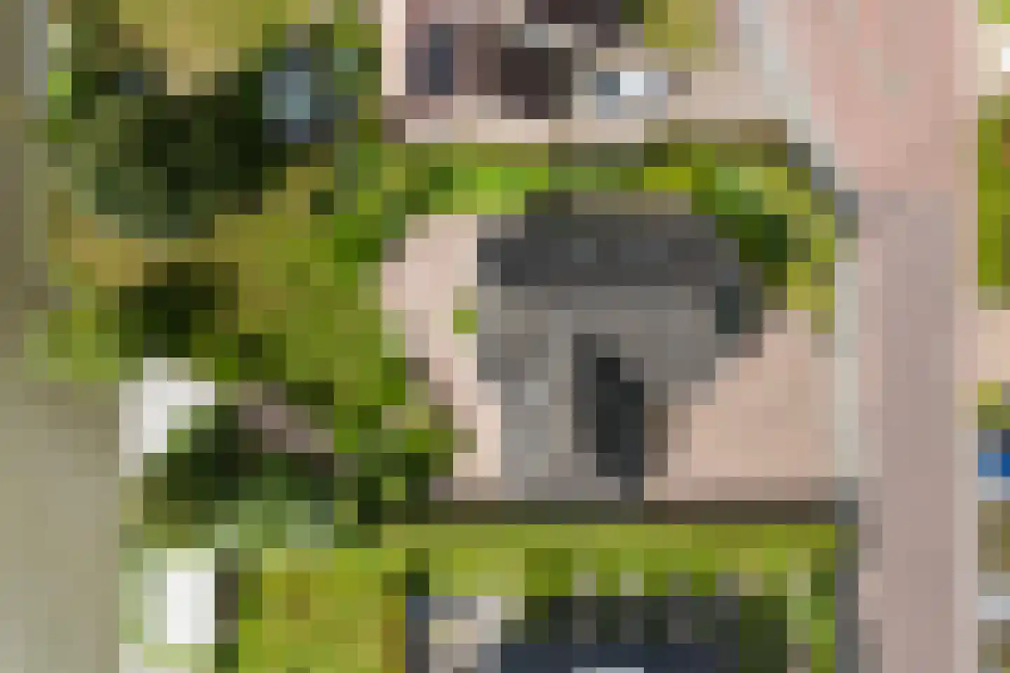 Concordiastrjitte 21 Burdaard thumbnail 6