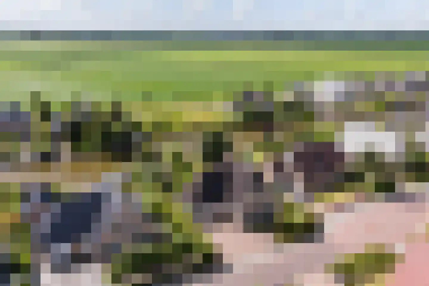 Concordiastrjitte 21 Burdaard thumbnail 7