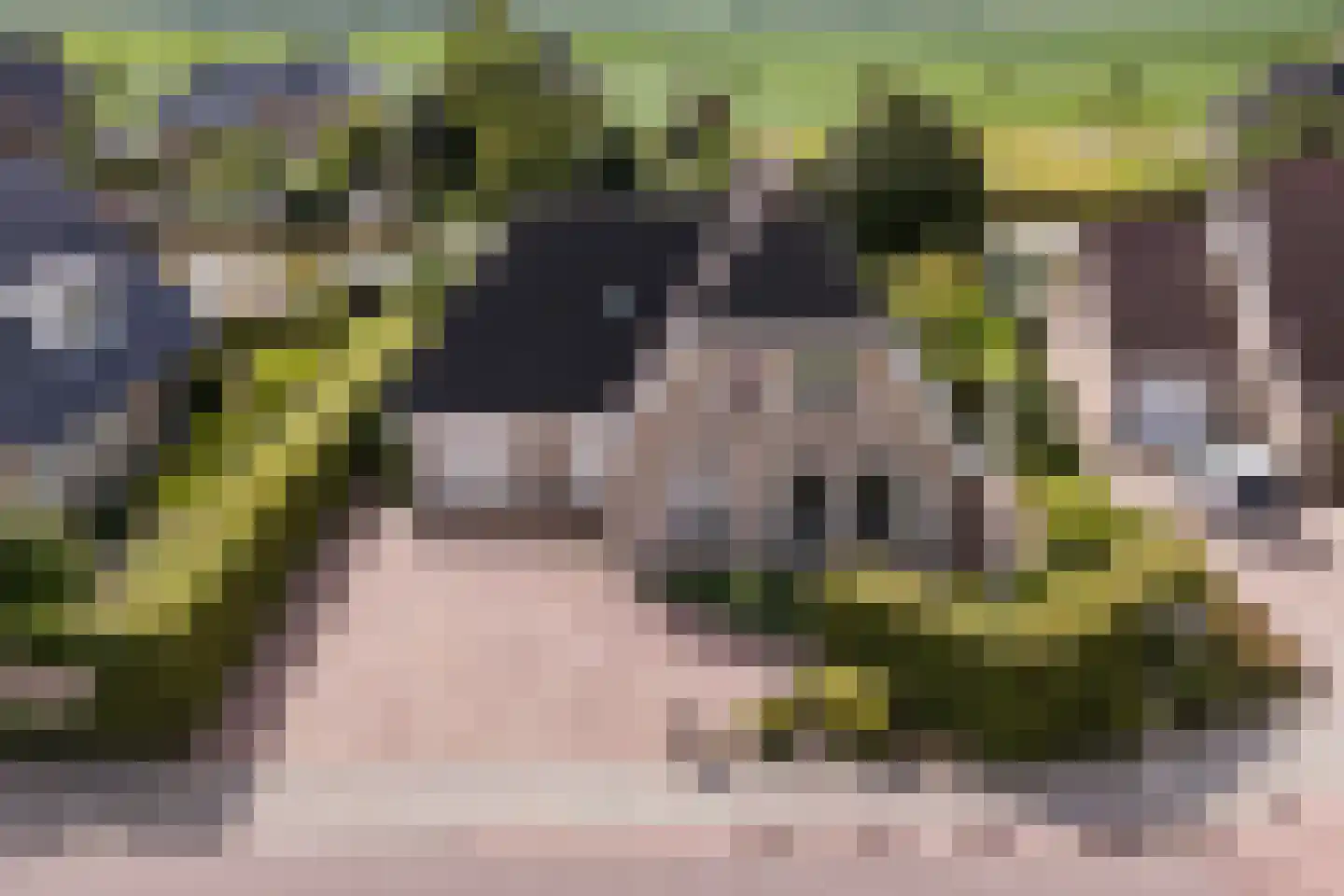 Concordiastrjitte 21 Burdaard thumbnail 8