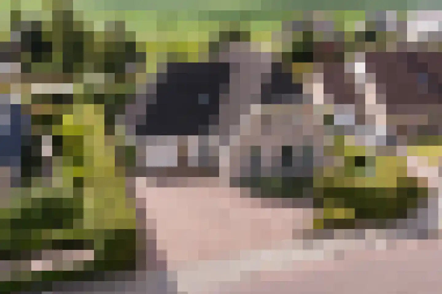 Concordiastrjitte 21 Burdaard thumbnail 9