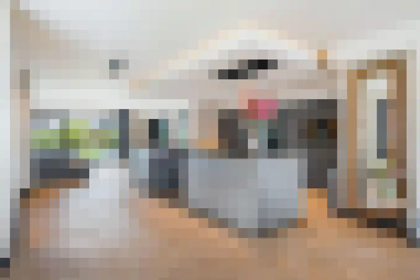 Concordiastrjitte 38 Burdaard thumbnail 14