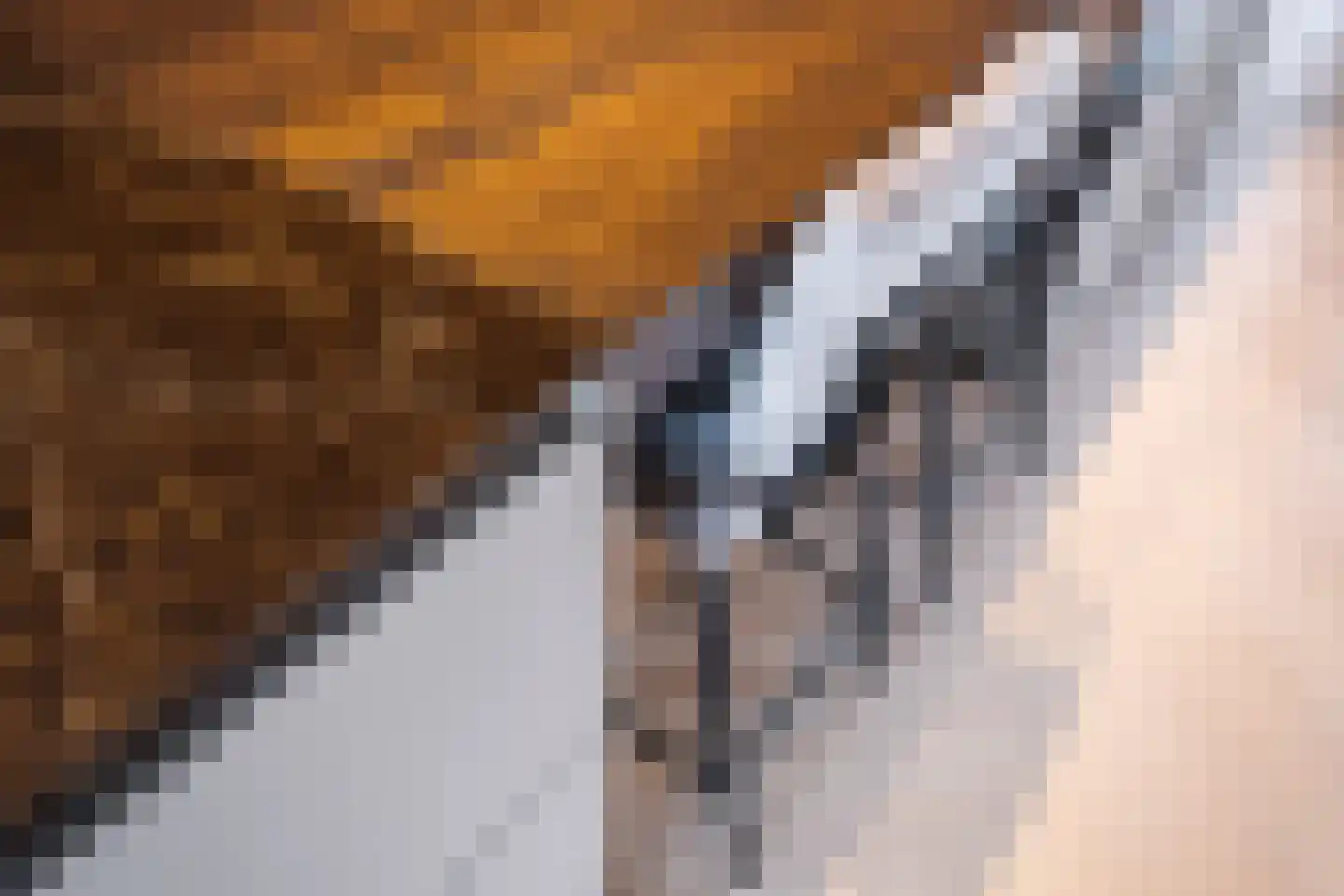 Concordiastrjitte 38 Burdaard thumbnail 27