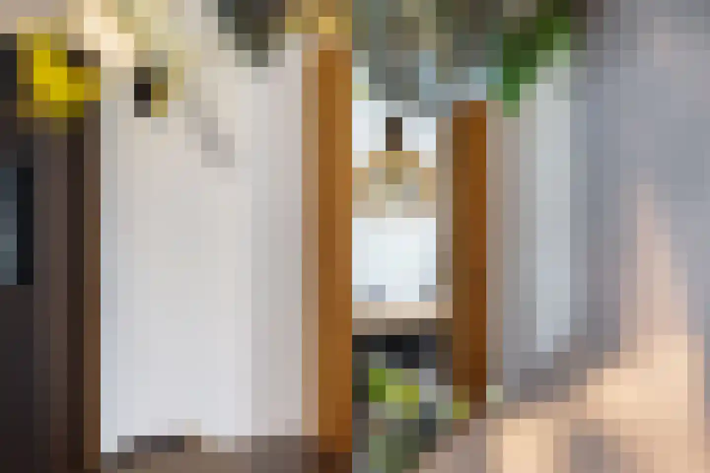 Concordiastrjitte 38 Burdaard thumbnail 29
