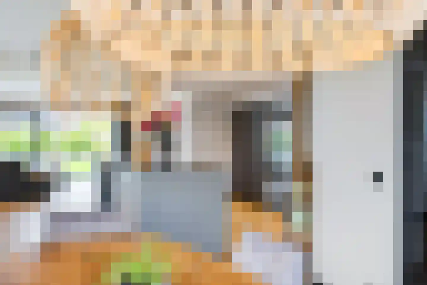 Concordiastrjitte 38 Burdaard thumbnail 30