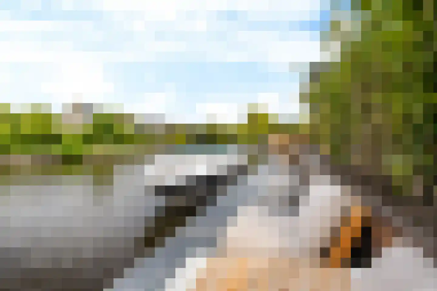 Concordiastrjitte 38 Burdaard thumbnail 45