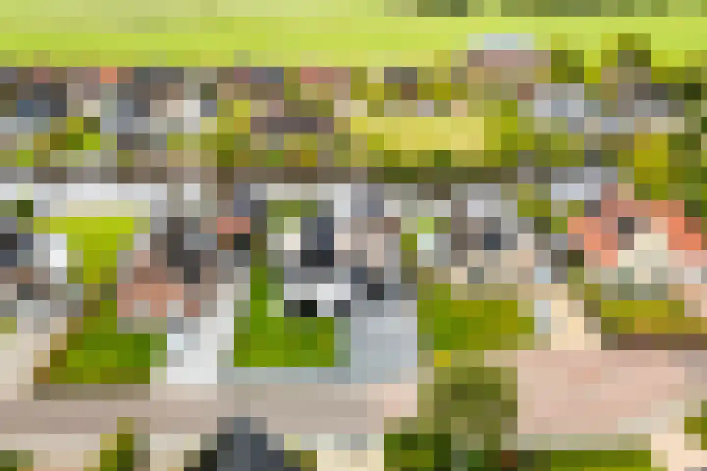 Concordiastrjitte 38 Burdaard thumbnail 48