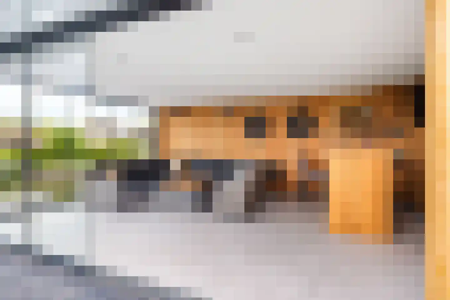 Concordiastrjitte 38 Burdaard thumbnail 49