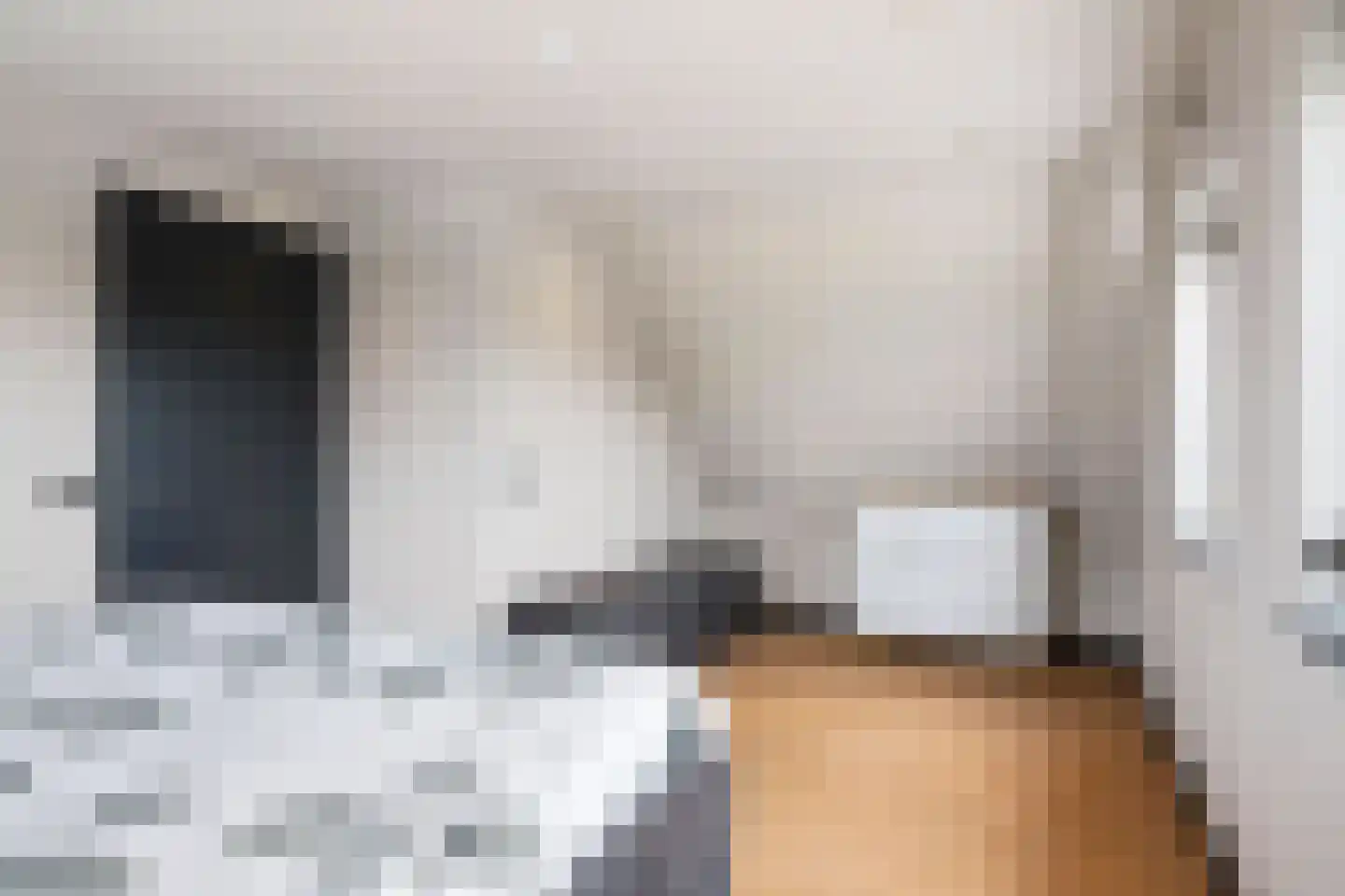 Concordiastrjitte 38 Burdaard thumbnail 69